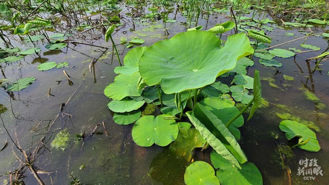 6375659878216-16.jpg undefined